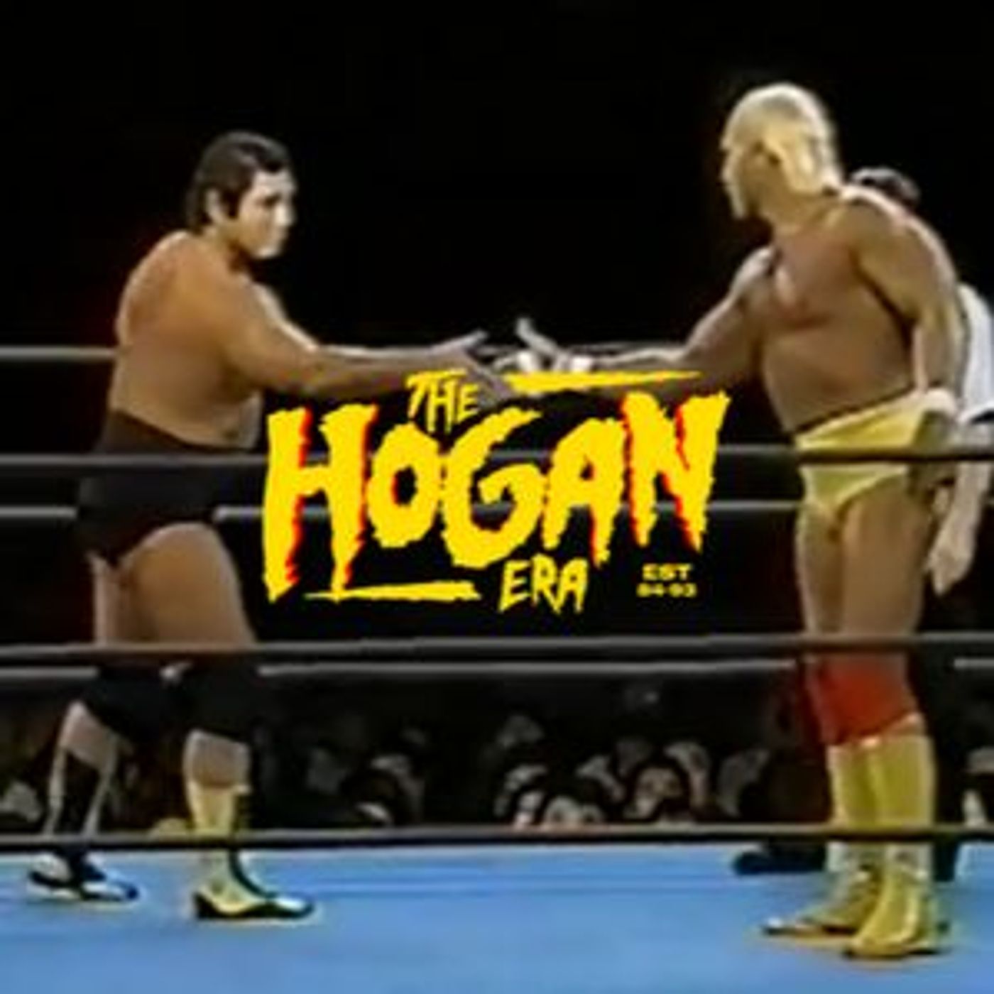 Episode 58: The Hogan Era - Tenryu