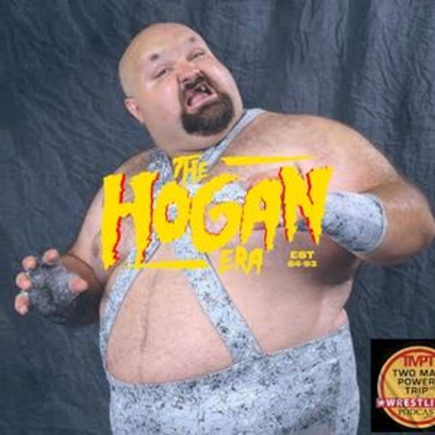 Episode 114: The Hogan Era - Bastion Booger