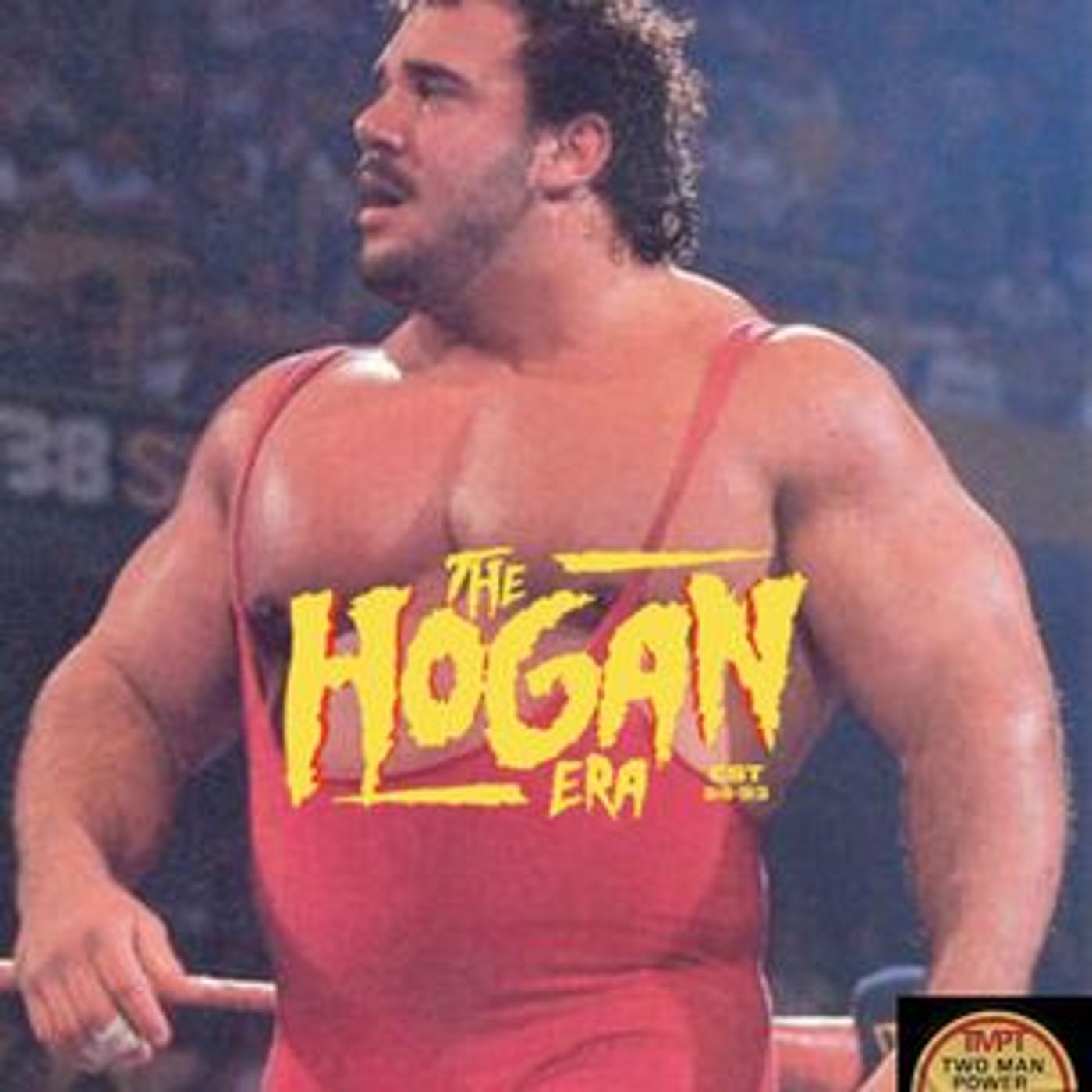 Episode 133: The Hogan Era - Ted Arcidi