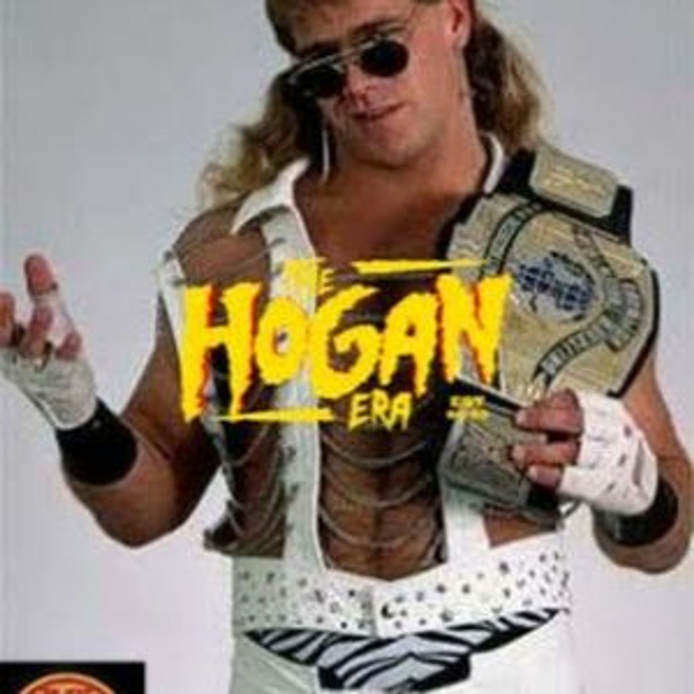 Episode 112: The Hogan Era - Shawn Michaels