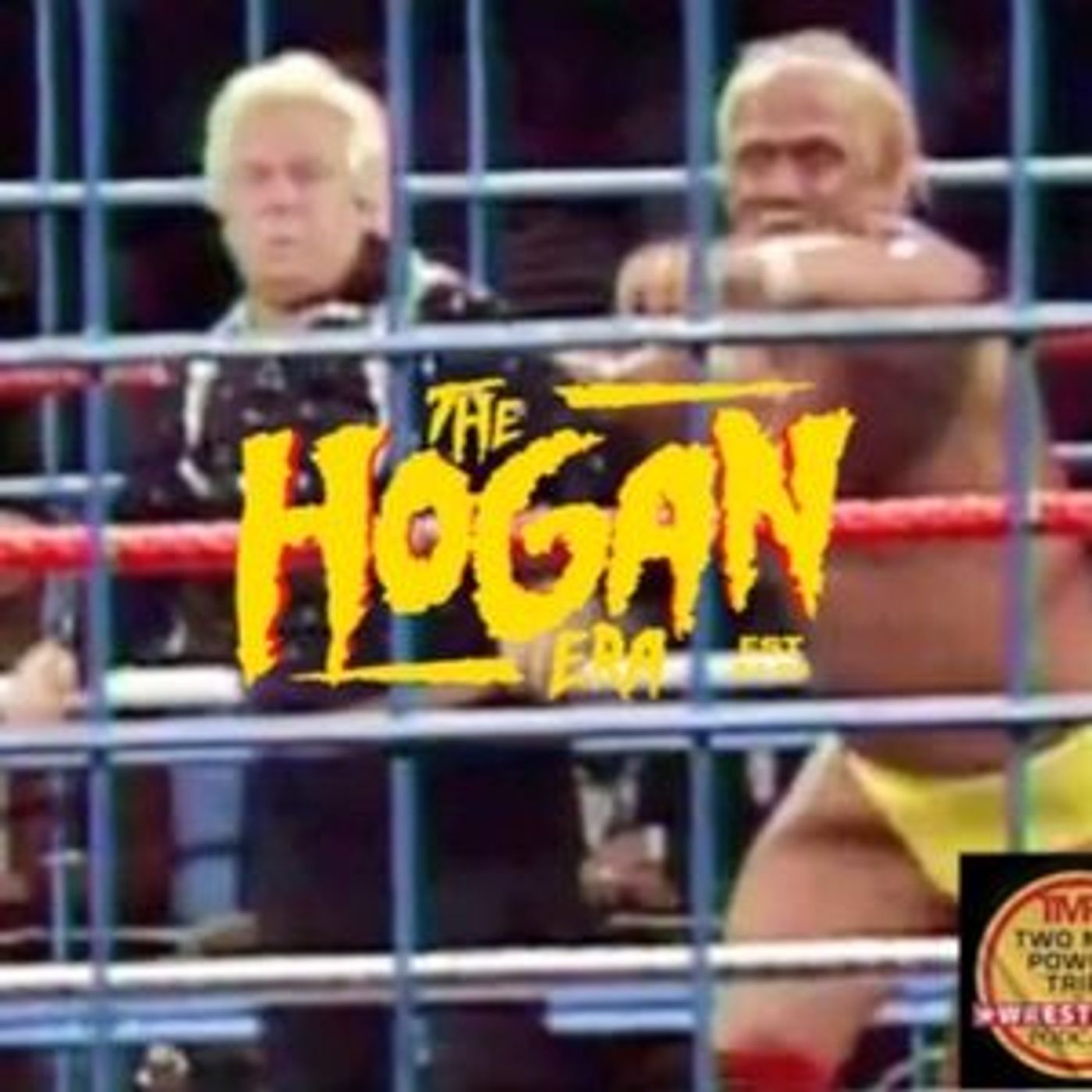 Episode 52: The Hogan Era - Bobby 'The Brain' Heenan