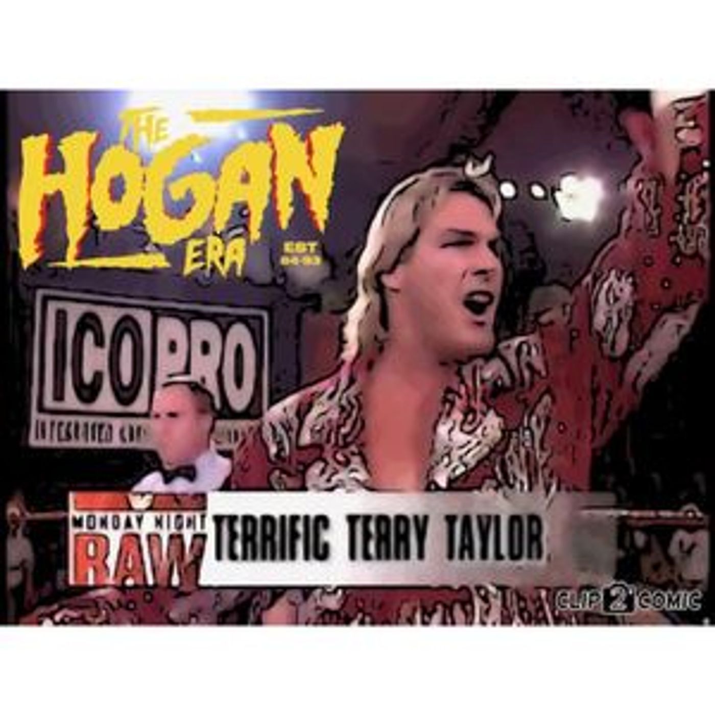 The Hogan Era - Terry Taylor