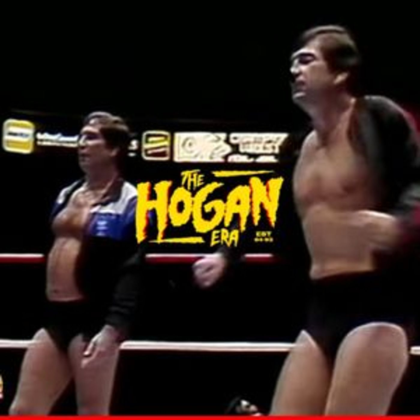 Episode 144: The Hogan Era - Brisco Brothers