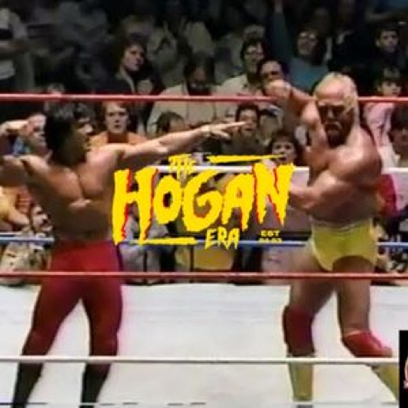 Episode 81: The Hogan Era - Ricky The Dragon Steamboat