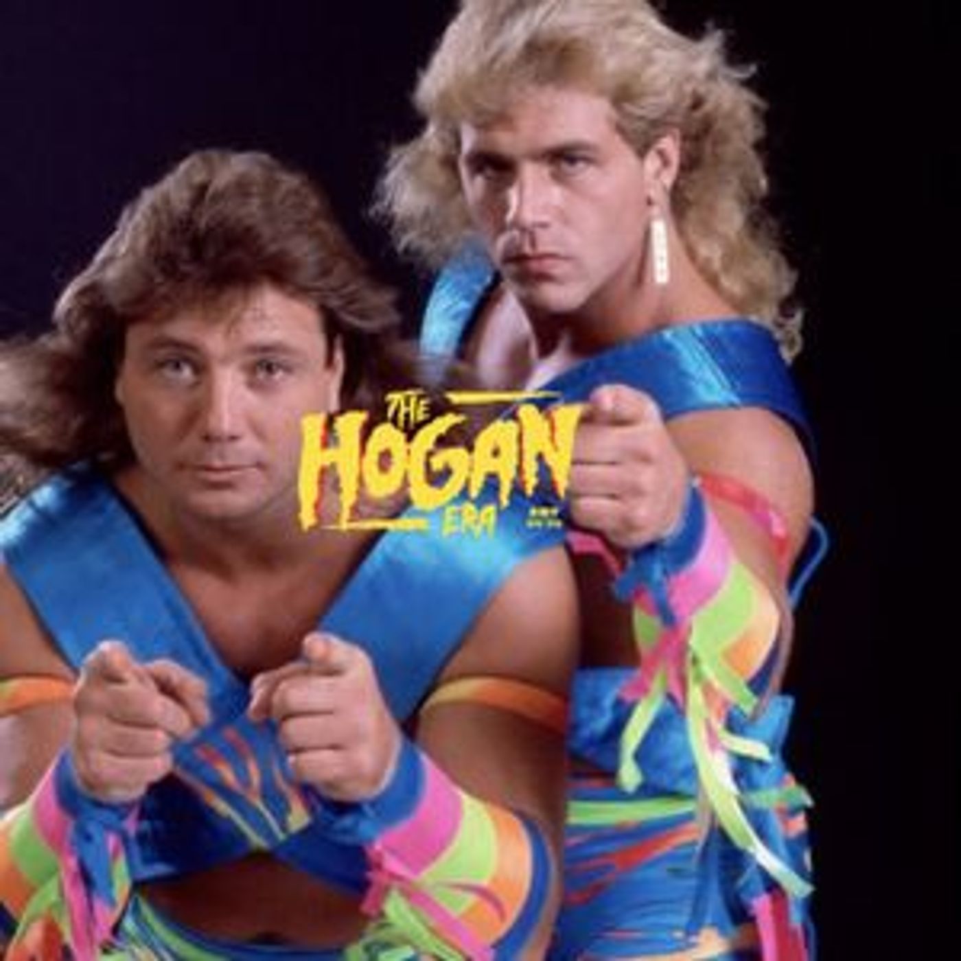 Episode 111: The Hogan Era - The Rockers