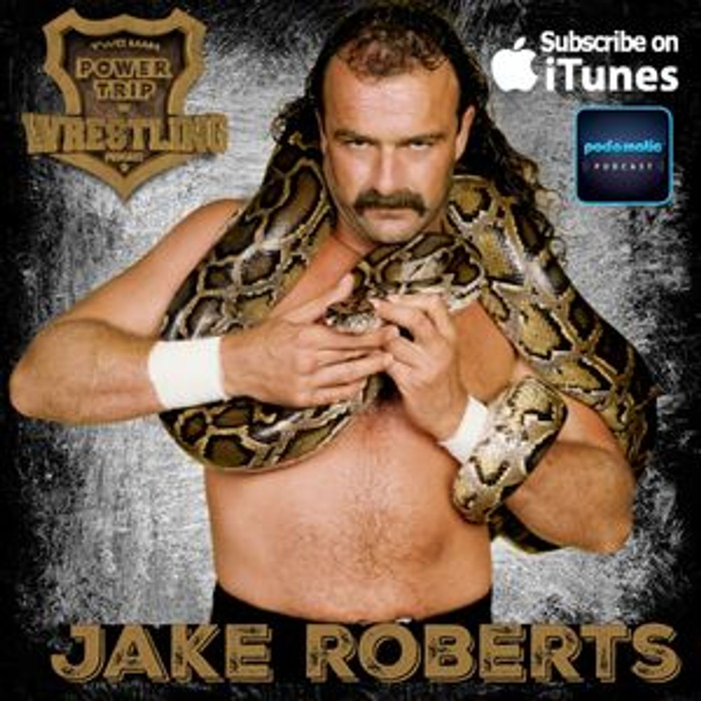 TMPToW: Jake The Snake Roberts episode artwork