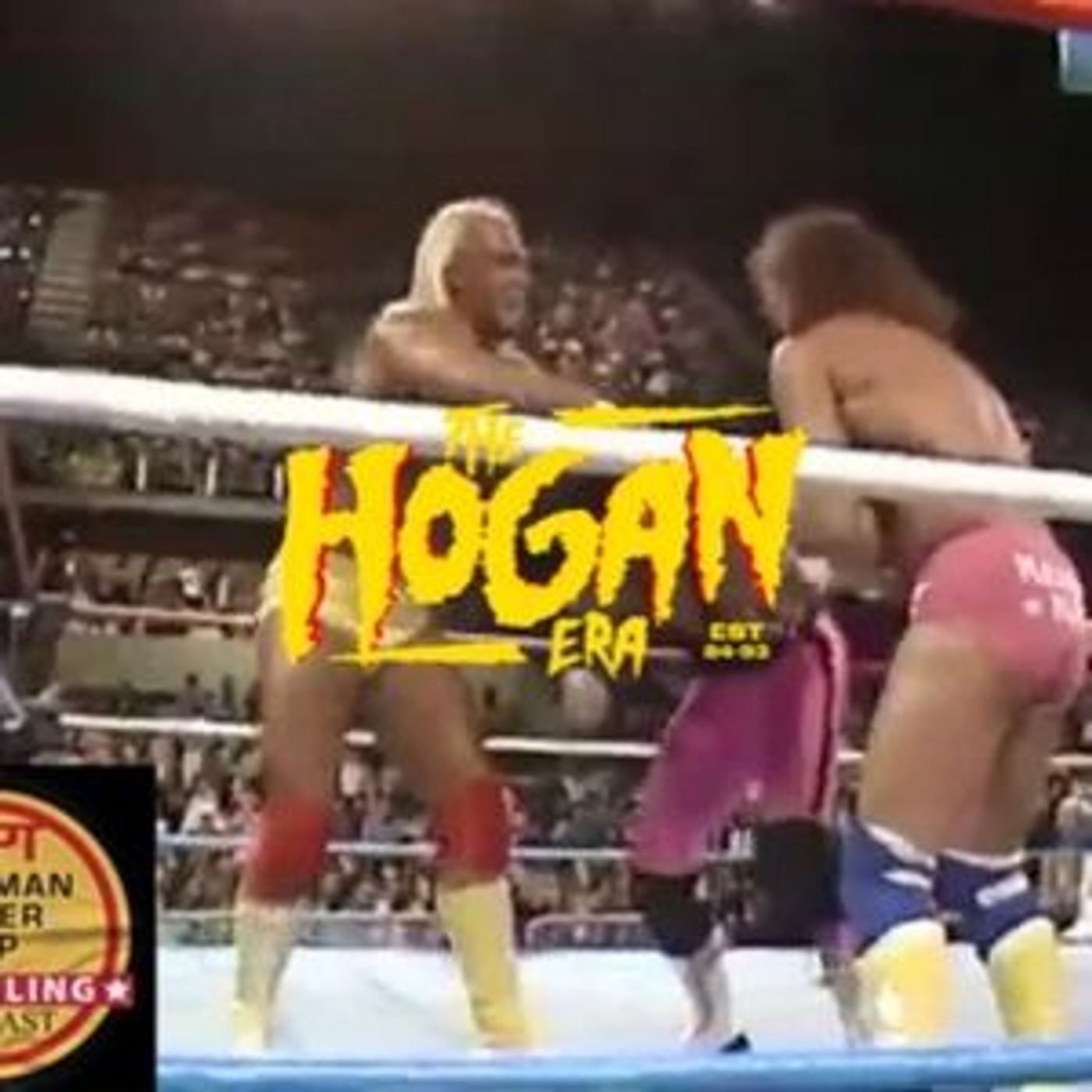 Episode 79: The Hogan Era - The Hart Foundation