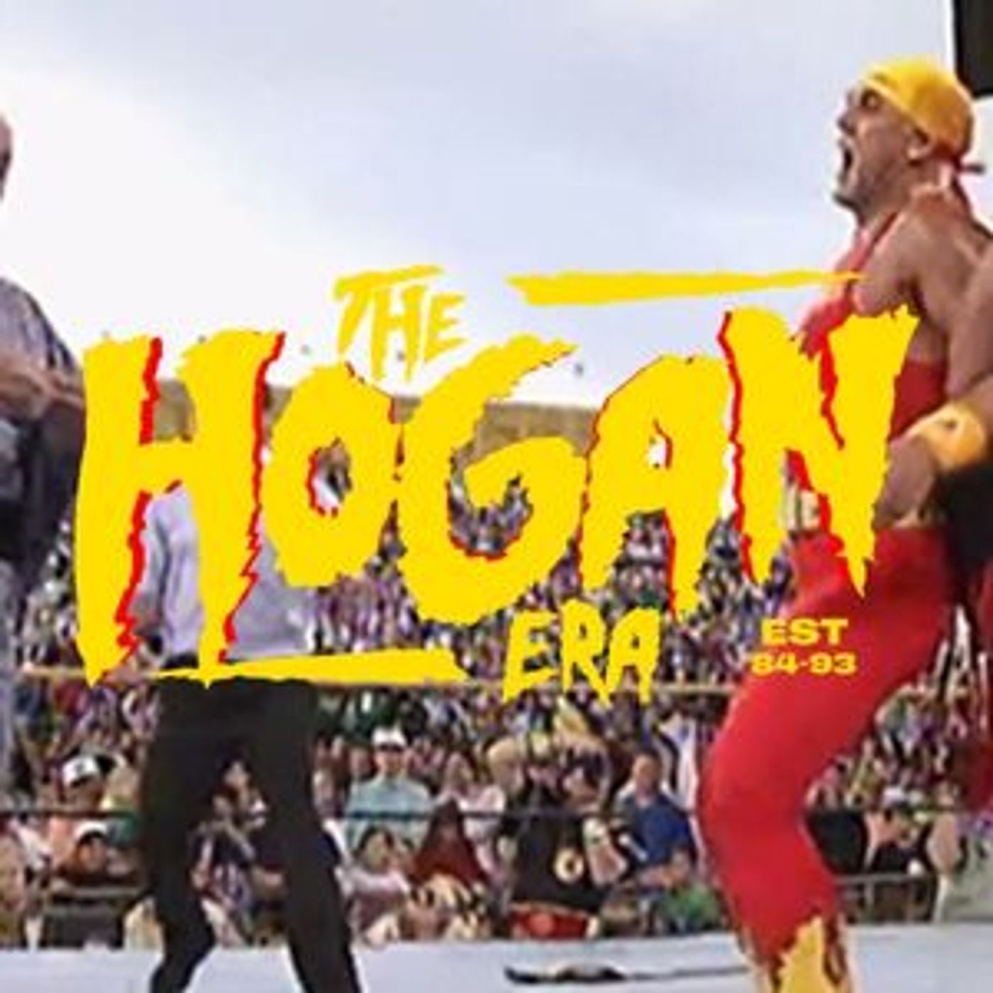 Episode 48: The Hogan Era - Mr. Fuji