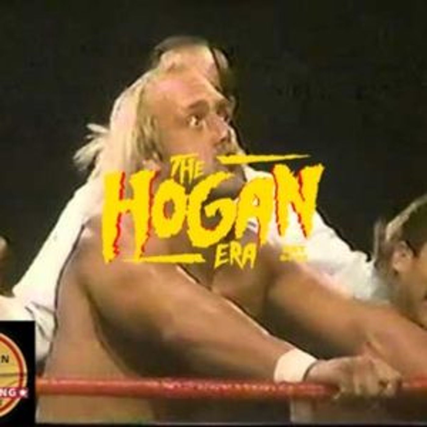 Episode 65: The Hogan Era - Johnny Rodz