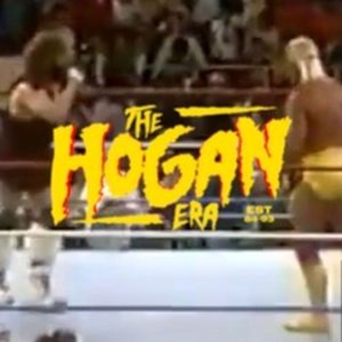 Episode 69: The Hogan Era - The Berzerker