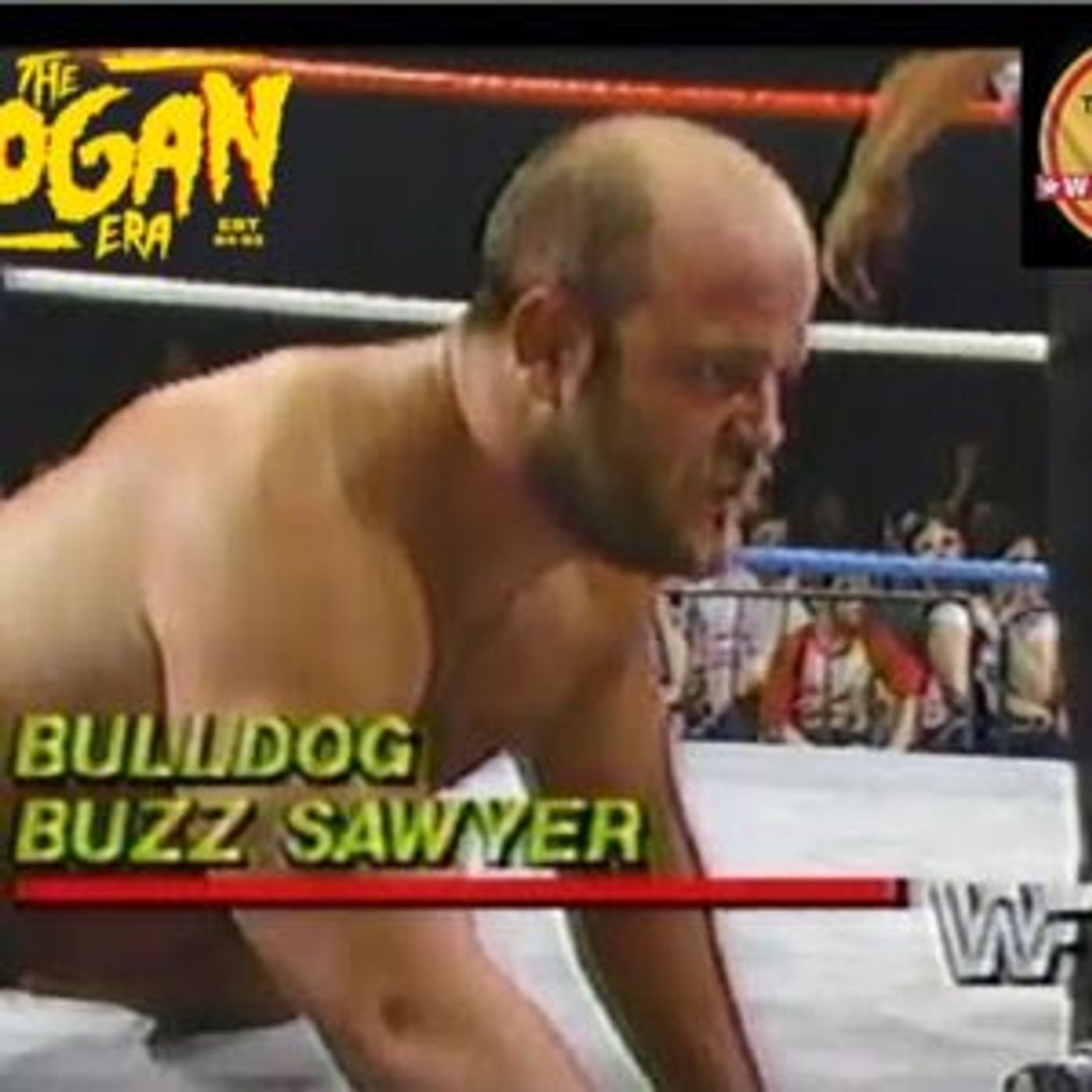Episode 155: The Hogan Era - Buzz Sawyer