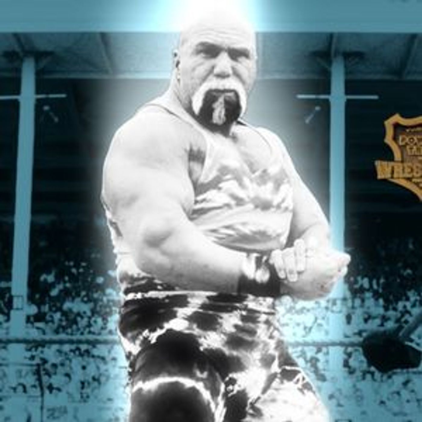 Episode 18: TMPT Special Feature: Superstar Billy Graham Tribute