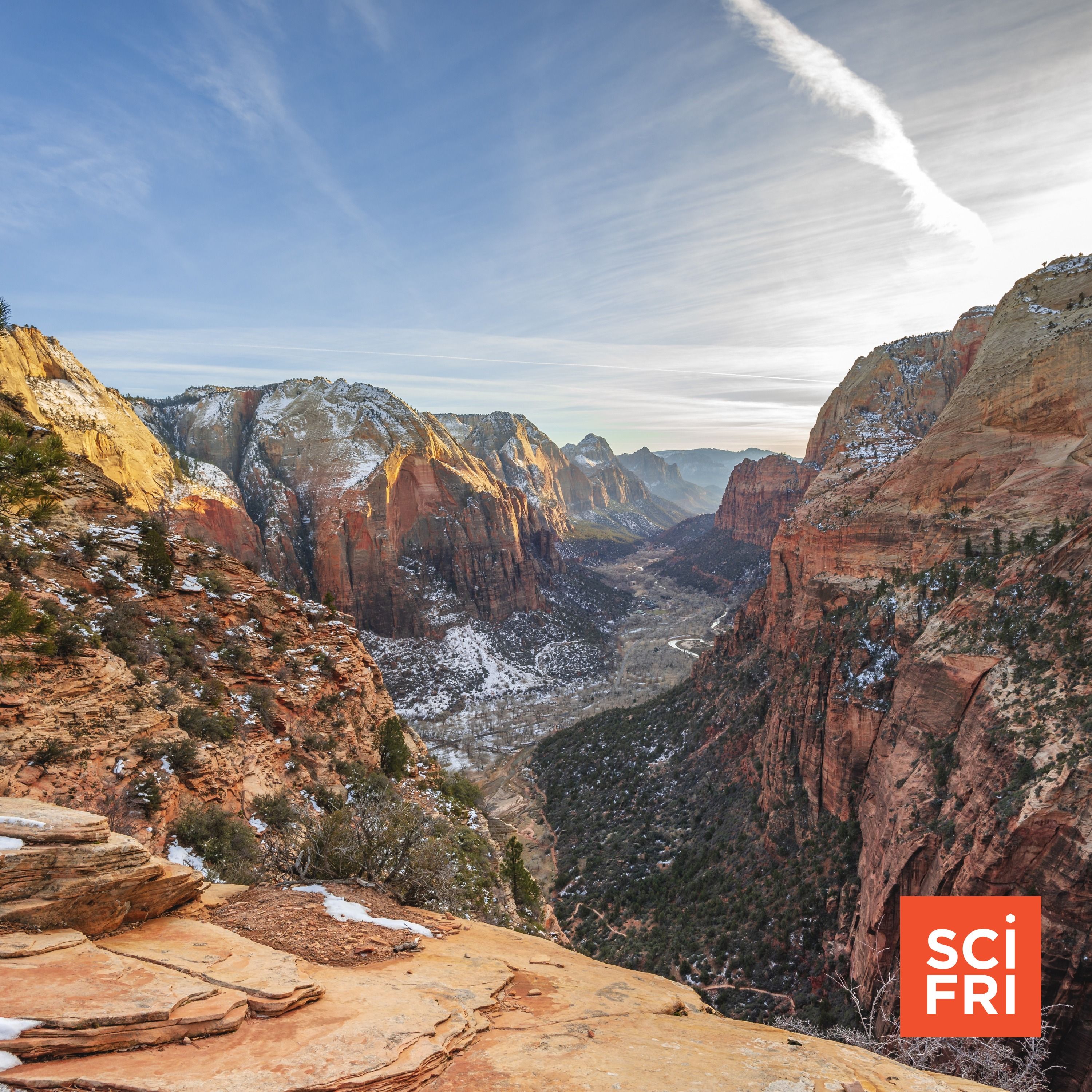 How do you describe nature? Two poets help us