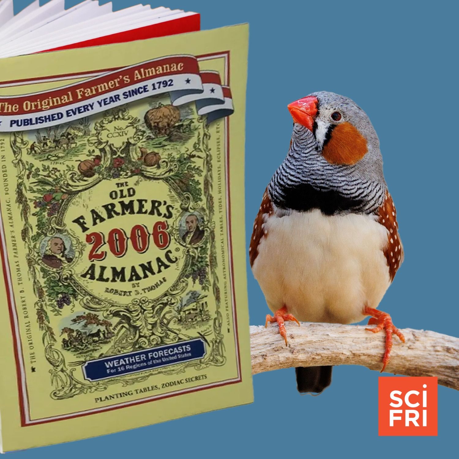Who uses Farmers’ Almanacs? + Zebra finch home design