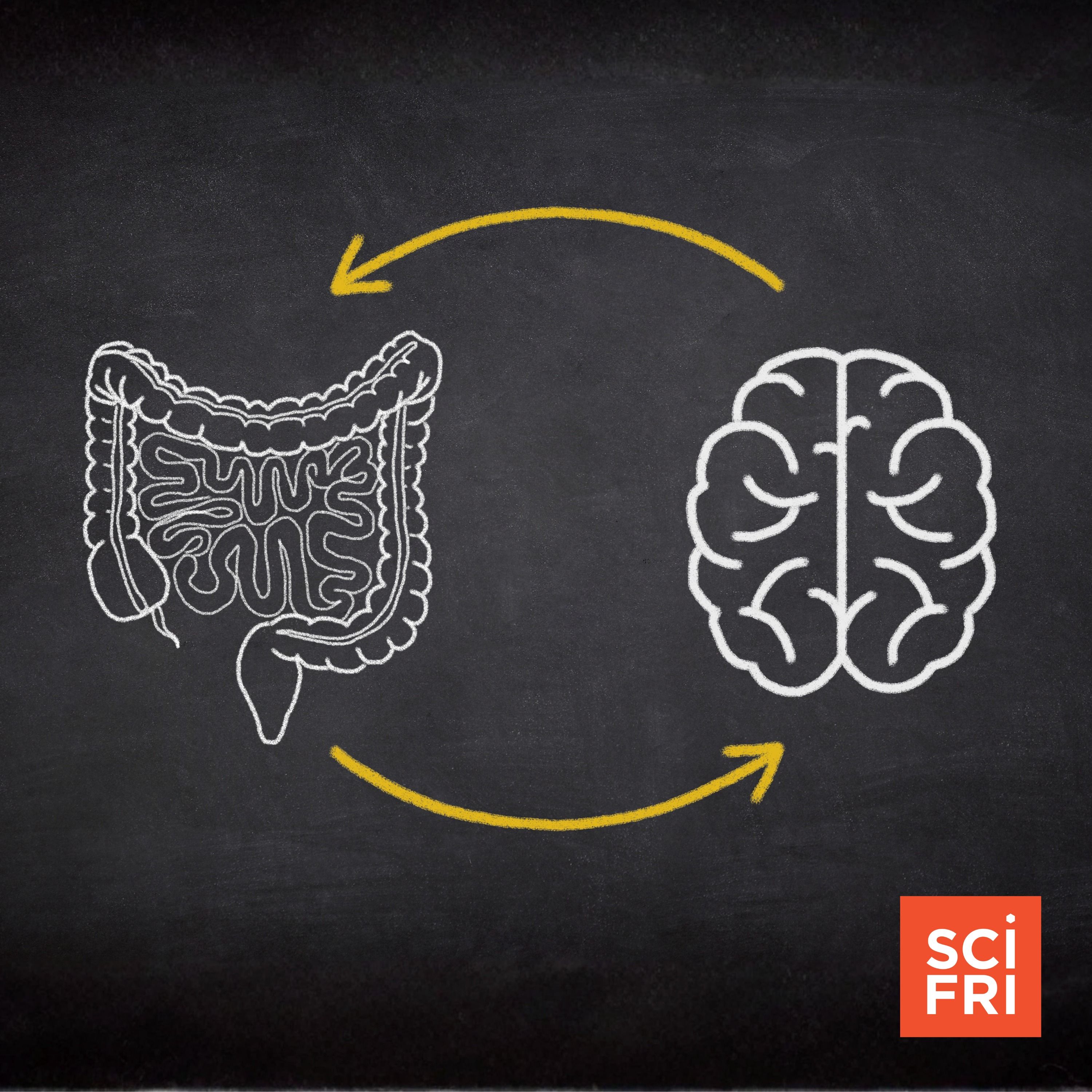How does the gut-brain connection work?