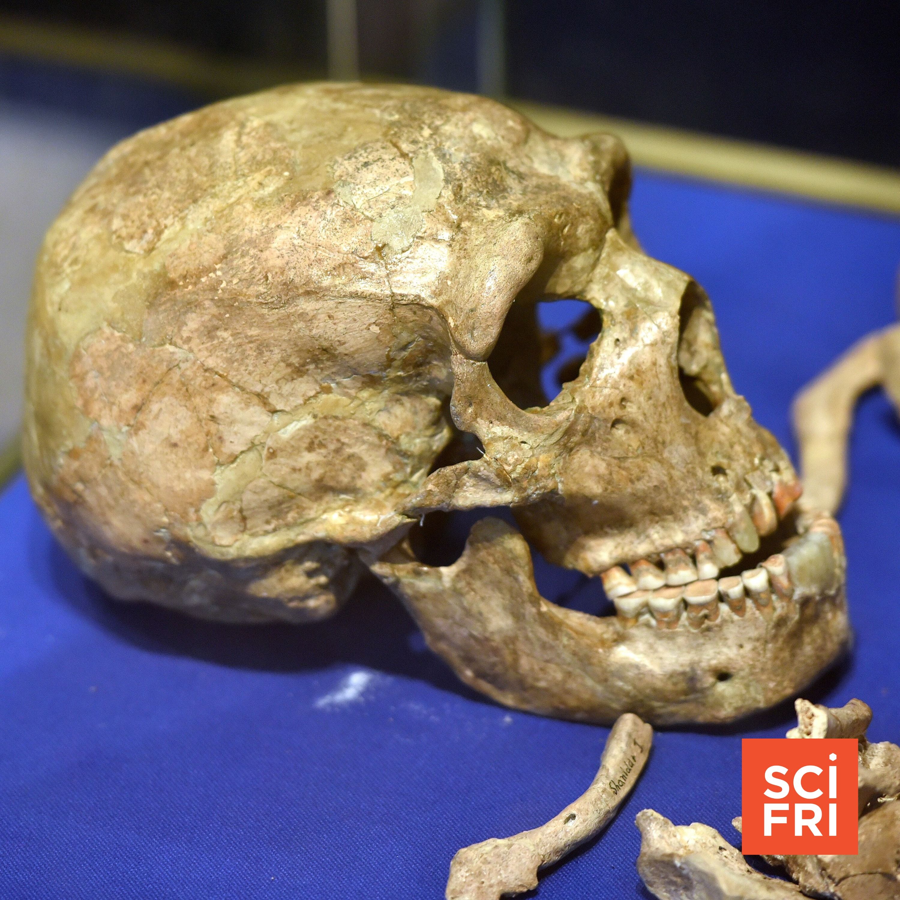 How did Neanderthals deal with illness and injuries?