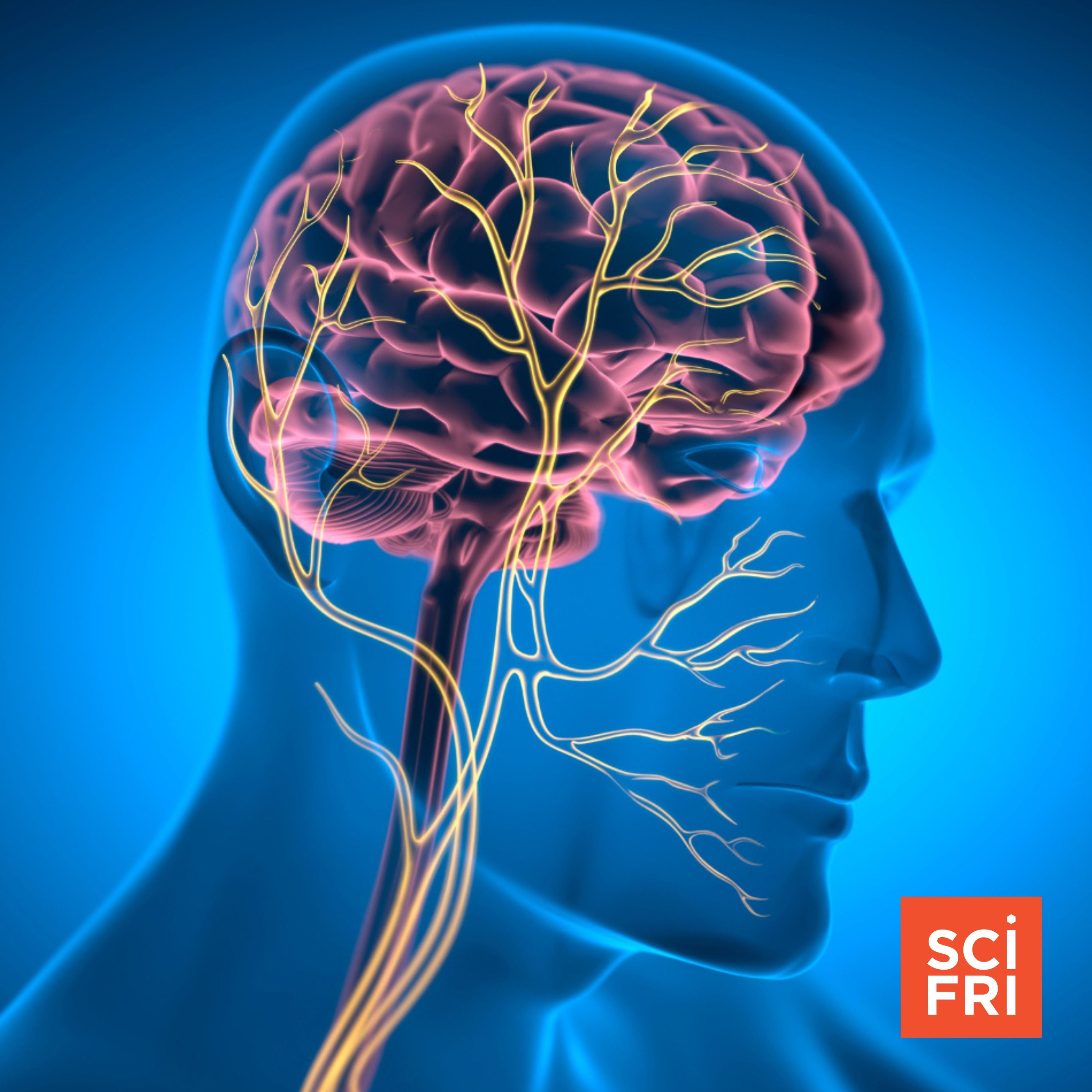 Is there science behind the ‘nervous system reset’? episode artwork
