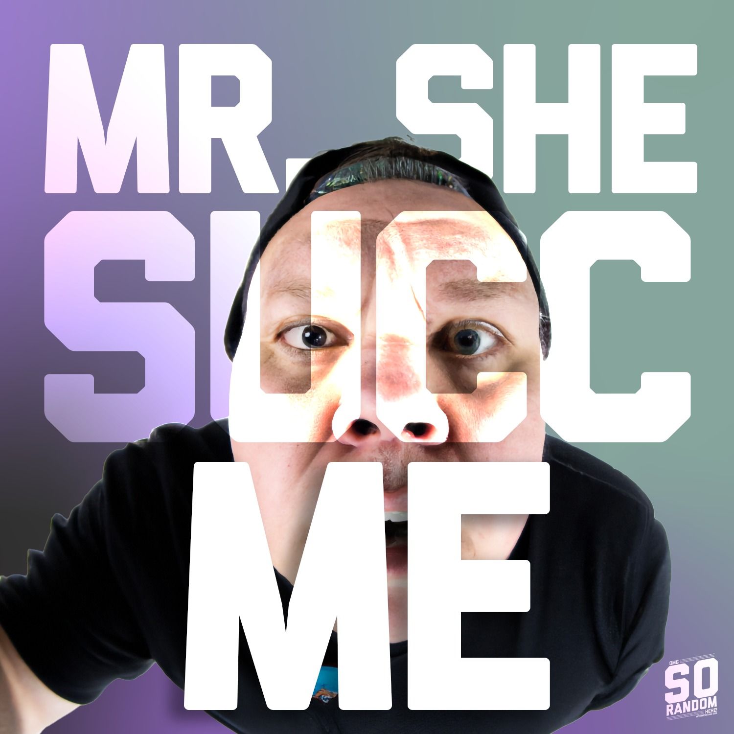 Mr. She Succ Me Special episode artwork
