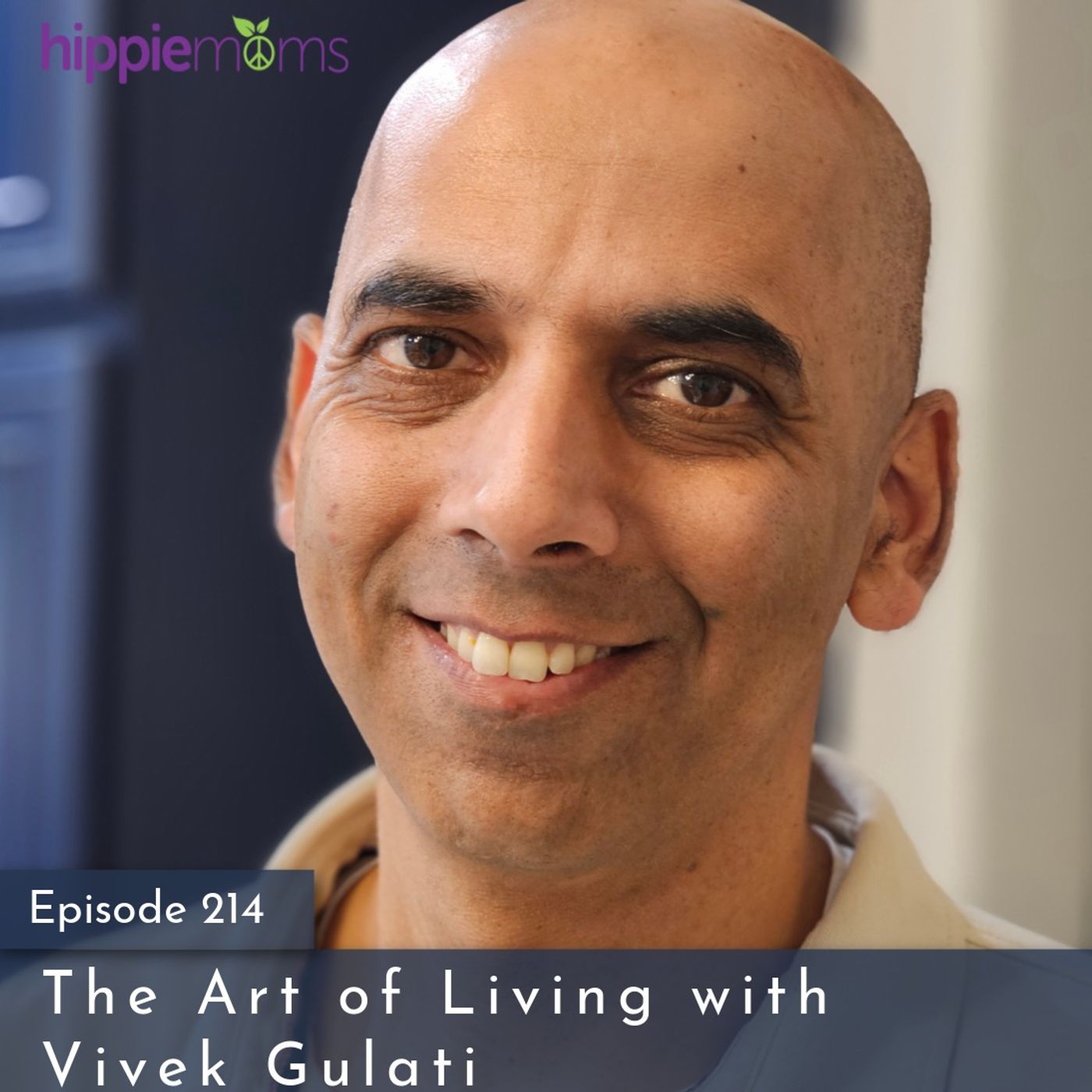 The Art of Living with Vivek Gulati The Art of Living with Vivek Gulati