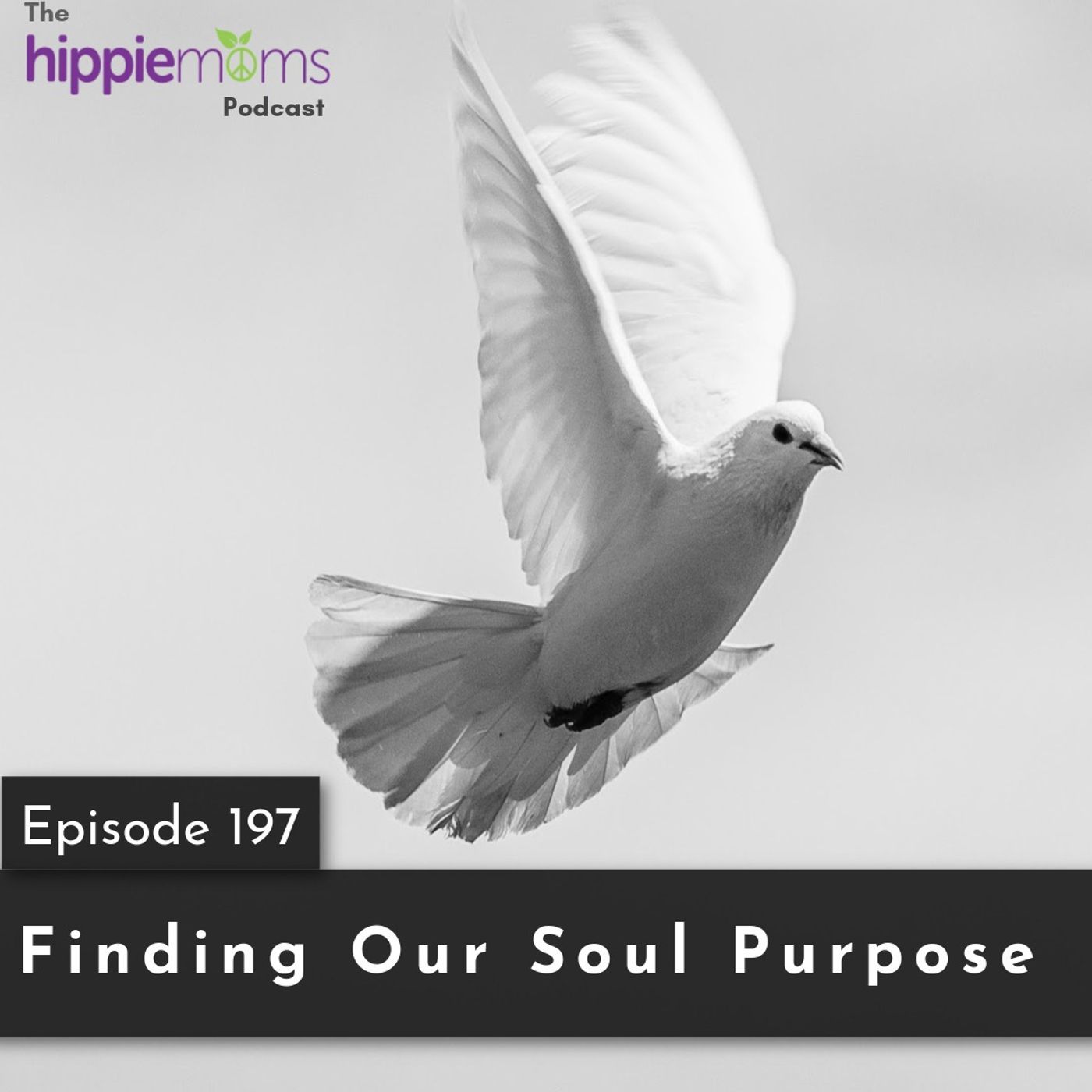 Finding our Soul Purpose