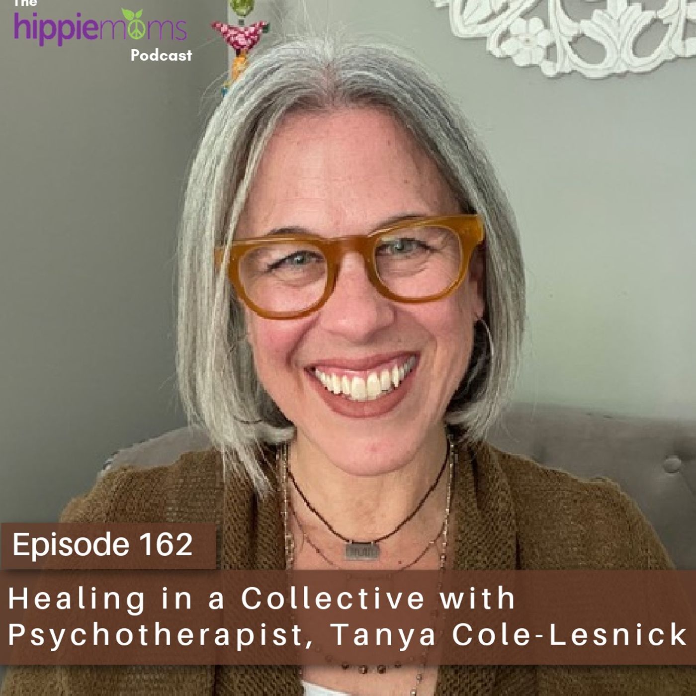 The Hippie Moms Podcast