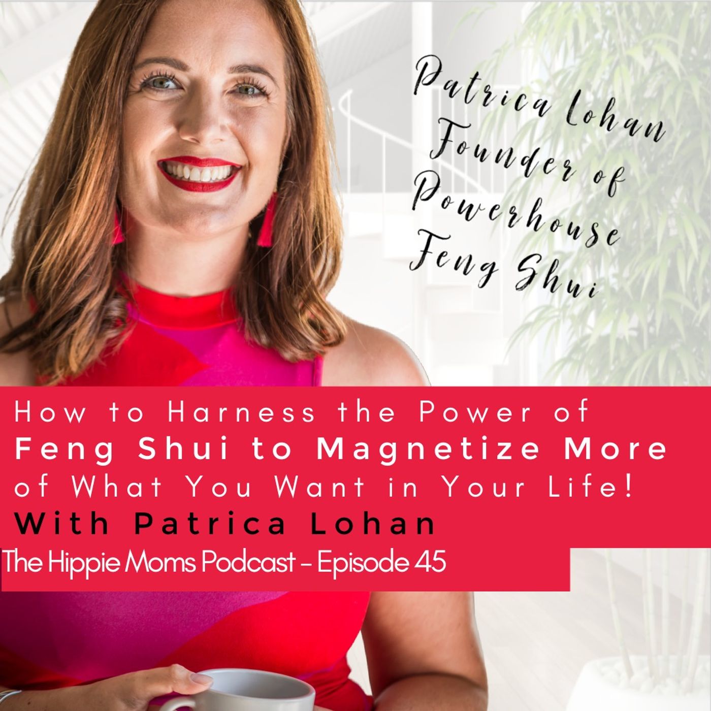 Episode 45: How to Harness the Power of Feng Shui to Magnetize More of What You Want in Your Life!