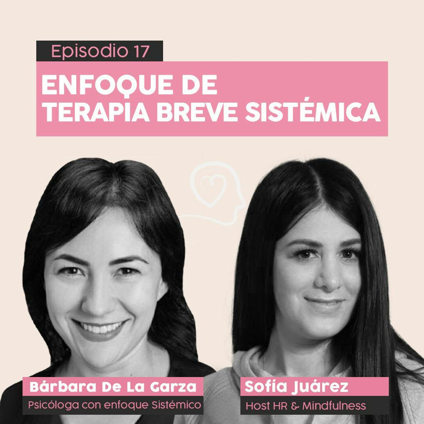 #17 Enfoque de Terapia Breve Sistémica con Bárbara de la Garza