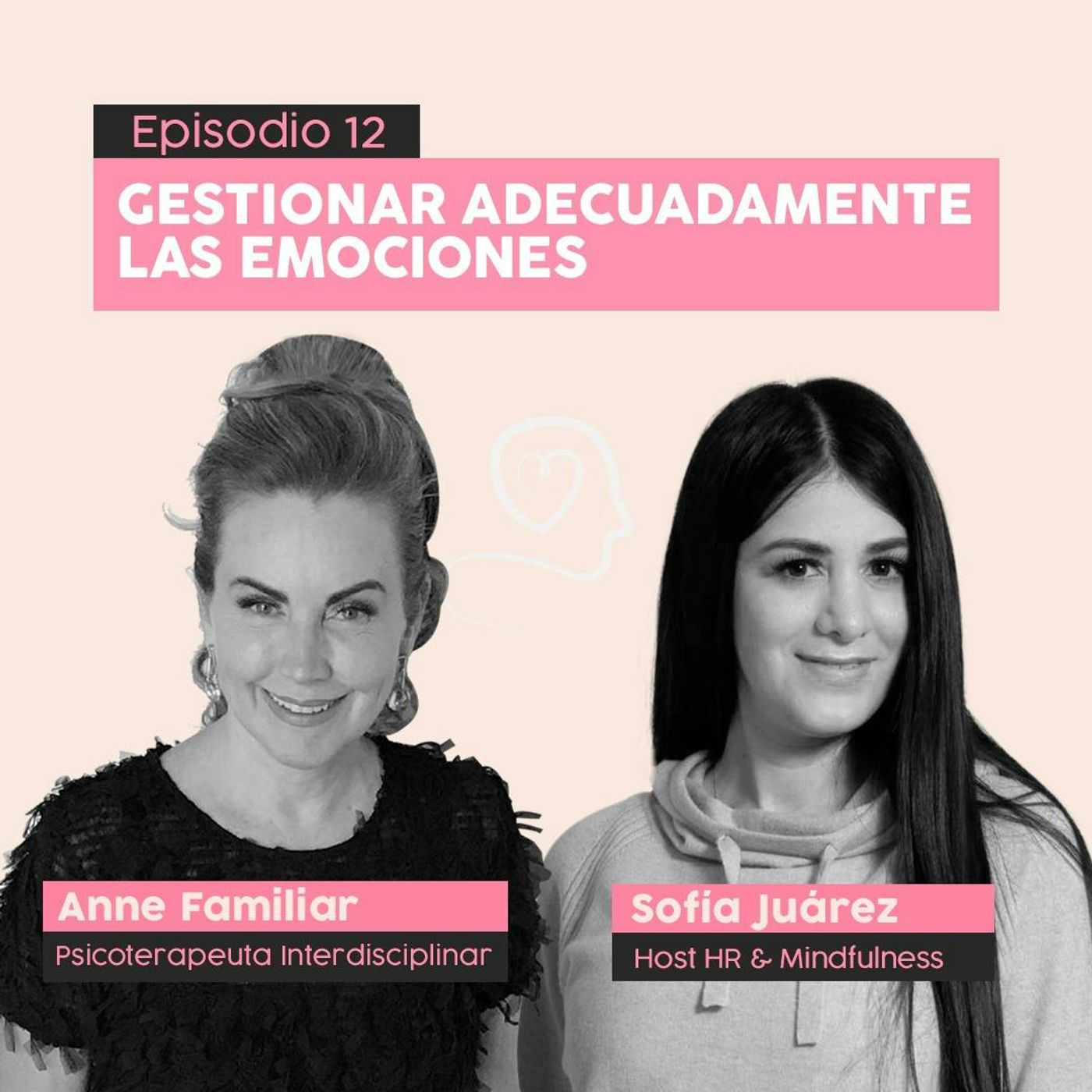 #12 Gestionar adecuadamente las emociones con Anne Familiar